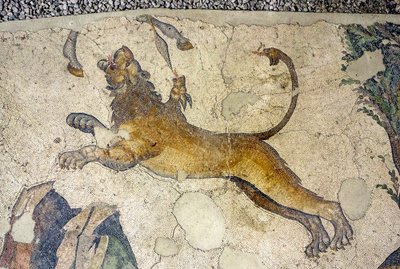 Unknown Image by Roman