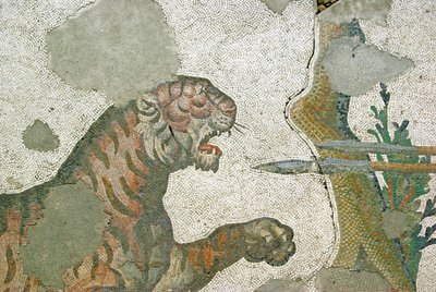 Unknown Image by Roman