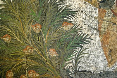 Unknown Image by Roman