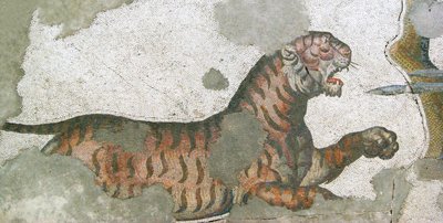 Unknown Image by Roman