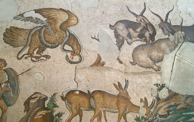 Unknown Image by Roman