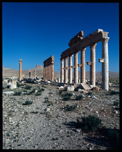 View of Palmyra Remains by Roman