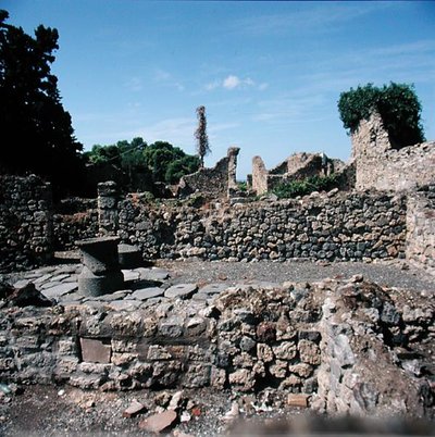 View of ruined houses by Roman