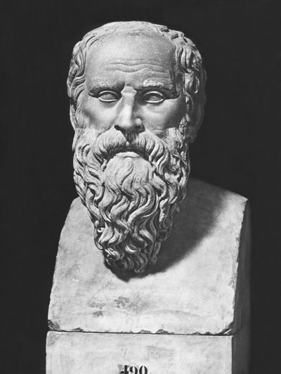 Bust of Diogenes by Roman Roman