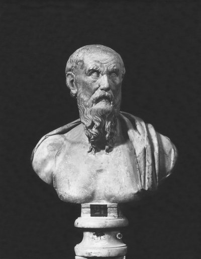 Bust of Diogenes by Roman Roman