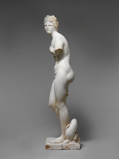 Statue of Aphrodite by Roman Roman