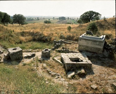 Temple and altar of sacrifices by Roman Roman