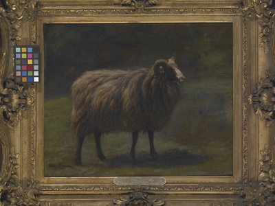 Ram by Rosa Bonheur
