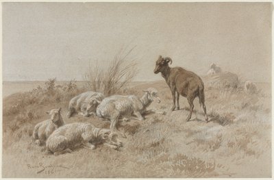 Sheep by Rosa Bonheur