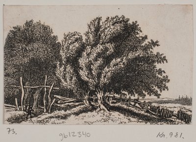 Landscape by Rosalie Holm