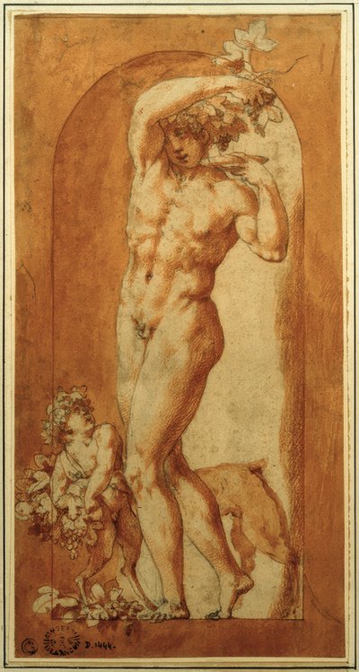 Bacchus in Niche by Rosso Fiorentino