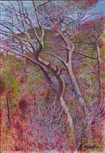 Landscape, Studio by Rubaldo Merello
