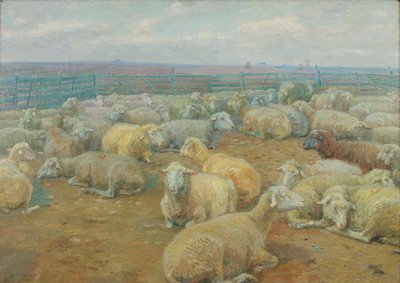 Sheep Park by Rudolf Konopa