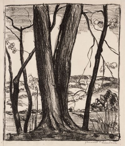The Hilltop by Russell T. Limbach