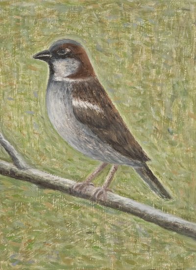 House Sparrow, 2008 by Ruth Addinall