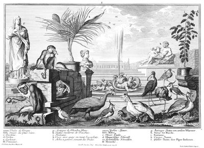 Monkeys, Guinea Fowls, and Plovers by Salomon Kleiner