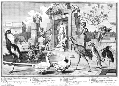 Cranes and Ducks by Salomon Kleiner