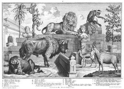 Lion and Pair of Bison by Salomon Kleiner