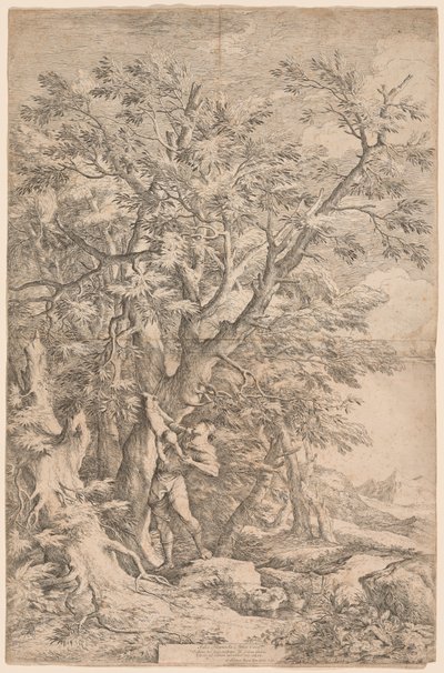 The Rescue of the Infant Oedipus by Salvator Rosa