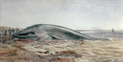 The Aberlady Whale, Longriddy Bay by Samuel Bough