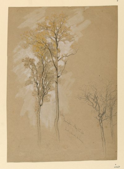 Oaks, Lady Wood Lane, Irvington by Samuel Colman