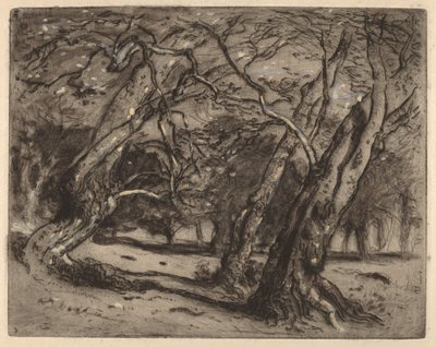 Untitled (Wooded Landscape) by Samuel Colman