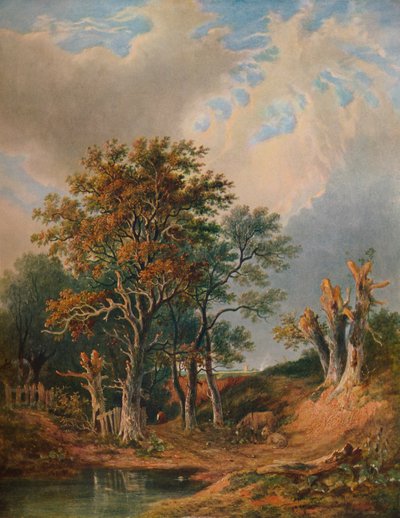 Landscape by Samuel David Colkett