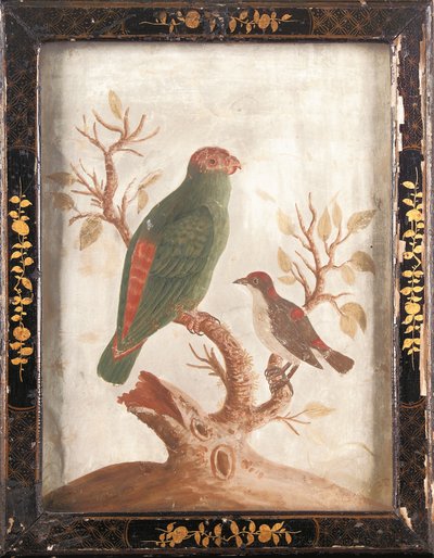 Green and Red Indian Parakeet by Samuel Dixon
