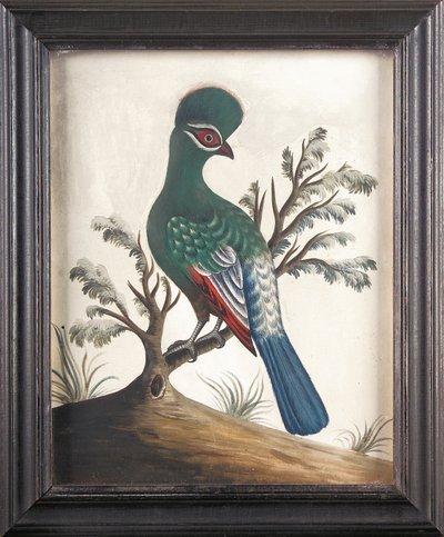 Touraco, c. 1750 by Samuel Dixon