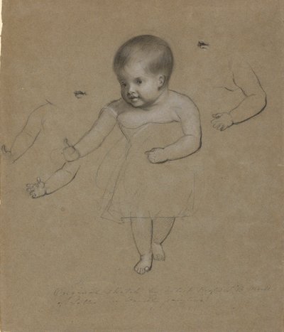Charlotte Gebhardt Morse by Samuel Finley Breese Morse