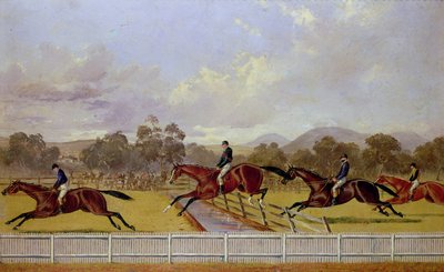 A Steeplechase by Samuel Henry Alken