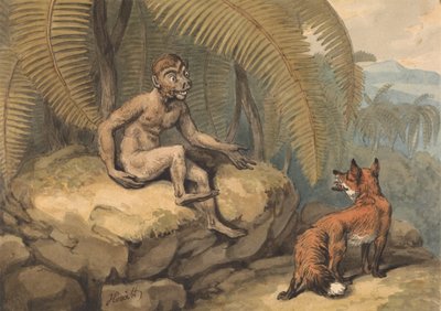 A Monkey and a Fox by Samuel Howitt