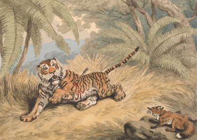 A Tiger Pierced with an Arrow by Samuel Howitt