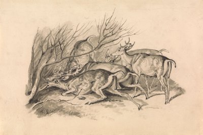 Deer Before a Thicket by Samuel Howitt
