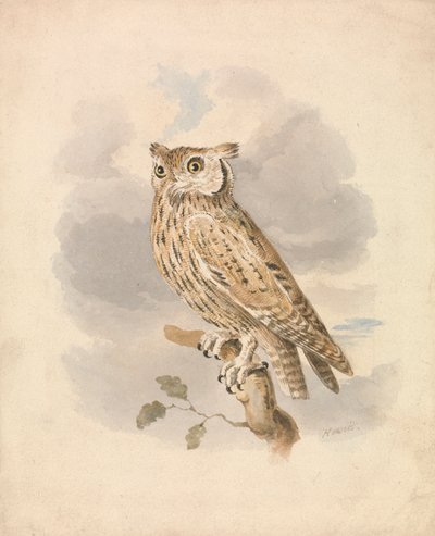 Scops Owl by Samuel Howitt