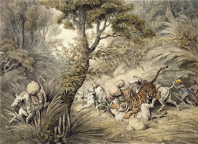 Tiger Attacking a Cattle Train by Samuel Howitt