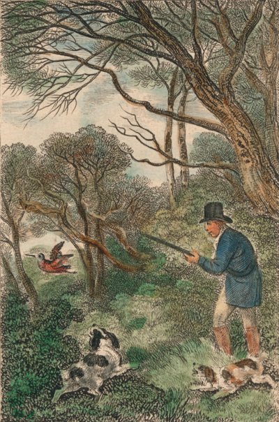 Woodcock Shooting by Samuel Howitt