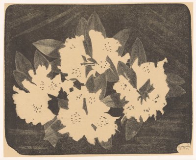 Rhododendron by Samuel Jessurun de Mesquita (signed by artist)