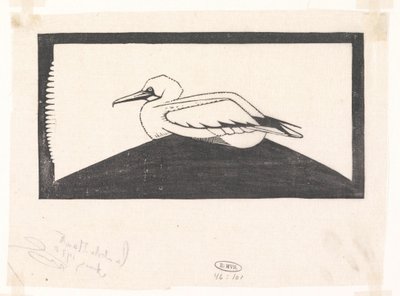 Northern Gannet by Samuel Jessurun de Mesquita