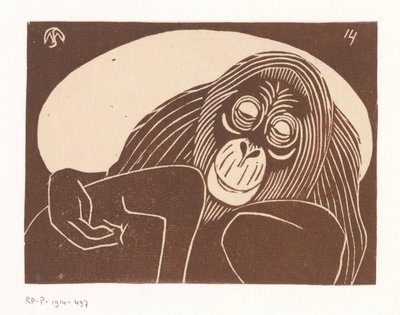 Orangutan by Samuel Jessurun de Mesquita