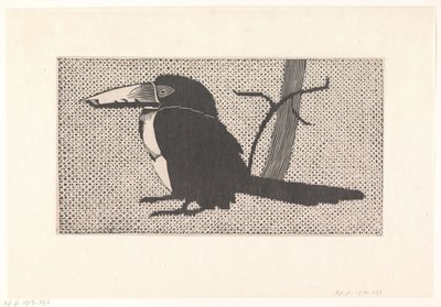 Toucan by Samuel Jessurun de Mesquita