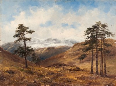 Near Balmoral by Samuel John Barnes