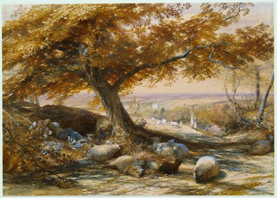 Sheep in the Shade by Samuel Palmer