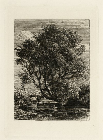 The Willow by Samuel Palmer