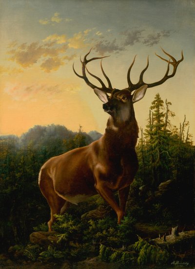 Deer in Forest Landscape, 1876 by Sandor Brodszky