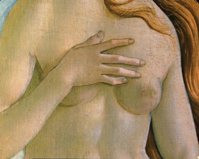 The Birth of Venus by Sandro Botticelli