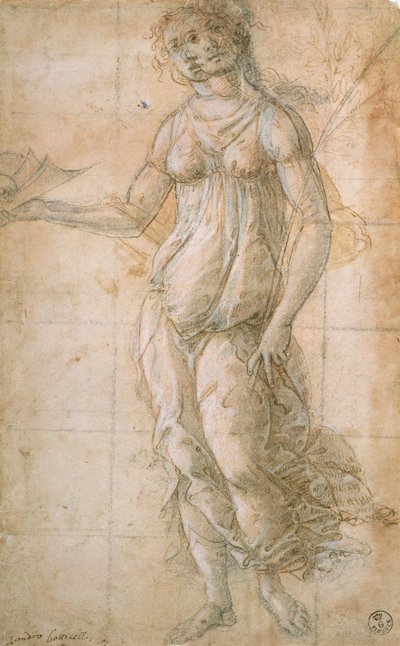 Study of Athene by Sandro Botticelli