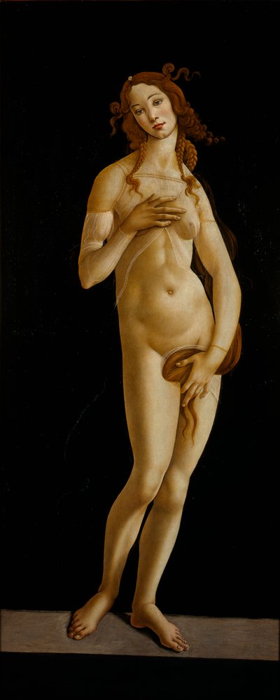 Venus Pudica by Sandro Botticelli