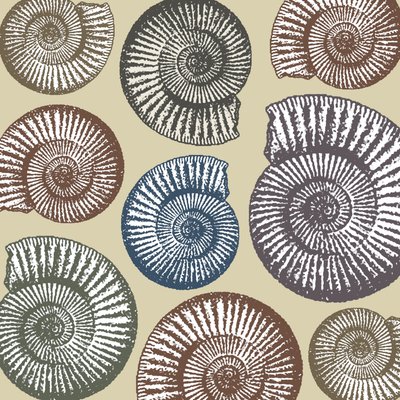 Jurassic Coast, 2009 by Sarah Hough