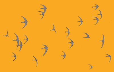 Swifts by Sarah Hough